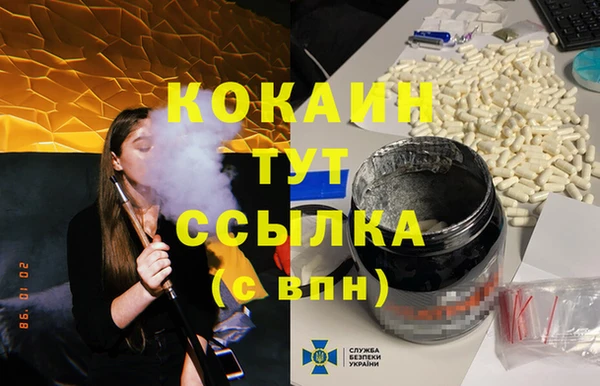 гидра Новокубанск