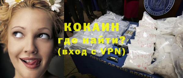 мет Новозыбков
