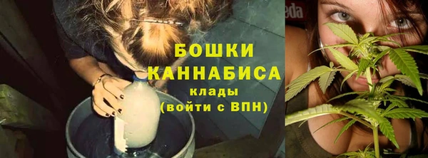 гидра Новокубанск