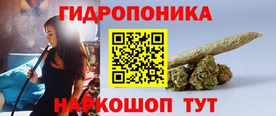 гашик Кандалакша