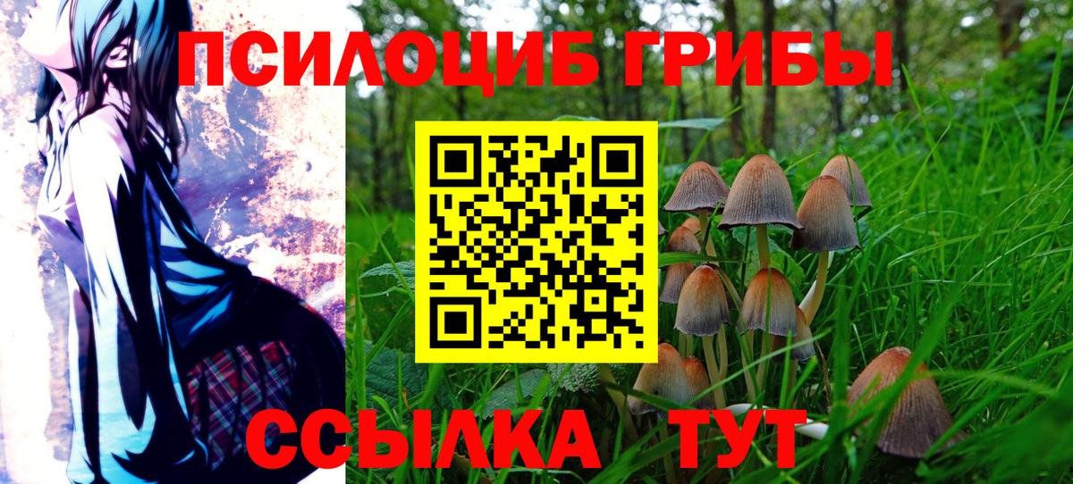 Ступино  Псилоцибиновые грибы Psilocybine cubensis  Вход с VPN  Галлюциногенные грибы GOLDEN TEACHER 