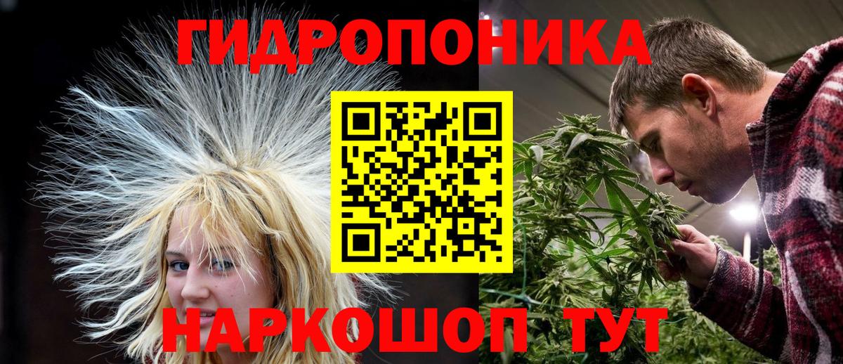 Ступино  Каннабис семена  Каннабис планчик  Вход с VPN  Конопля Amnesia 